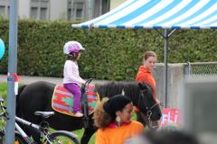 IMG_7837