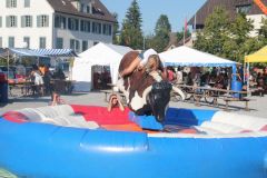 IMG_1781